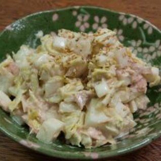 白菜、かぶ、ツナのごまマヨ冬サラダ